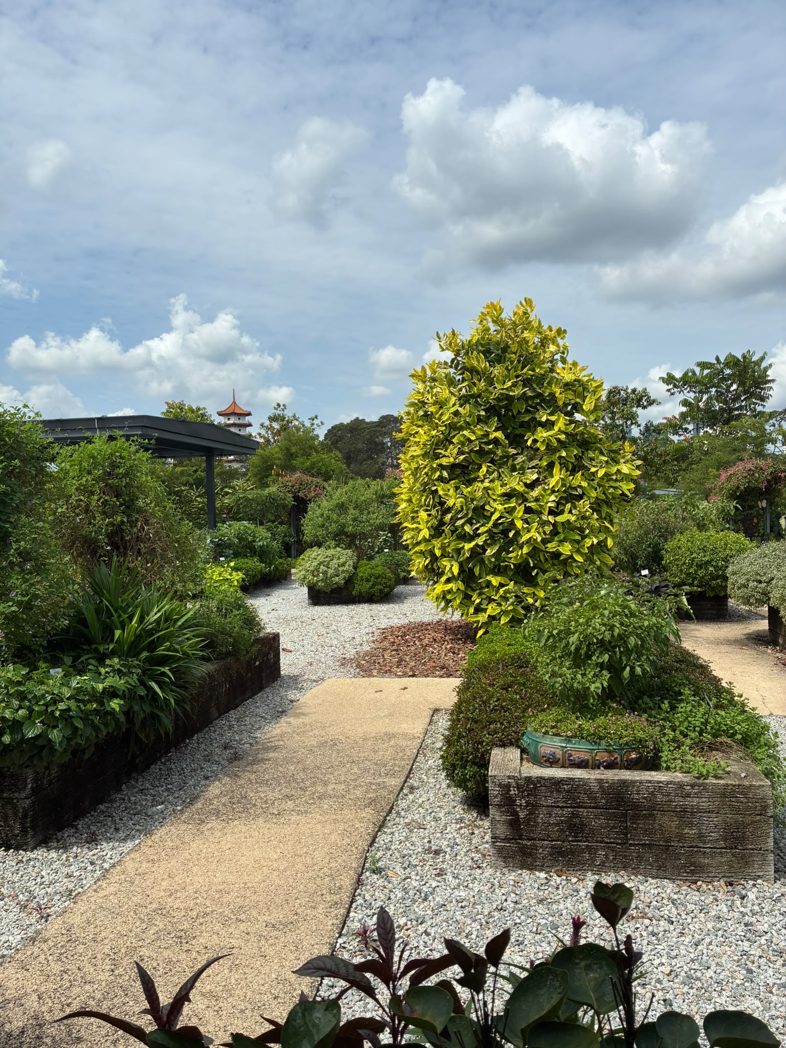 キャノピー（Canopy @ Jurong Lake Gardens）の庭園