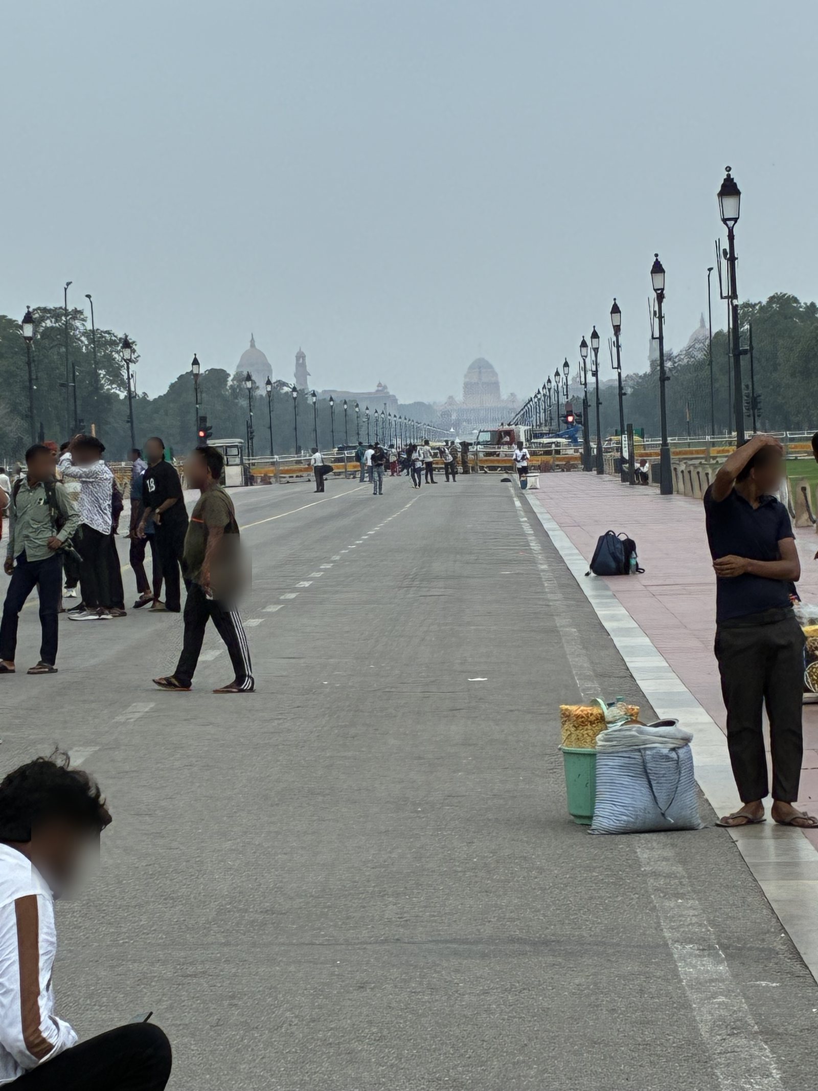 インド門（India Gate）から大統領官邸（Rashtrapati Bhavan）方向へ延びるカルタヴヤ・パス（Kartavya Path）