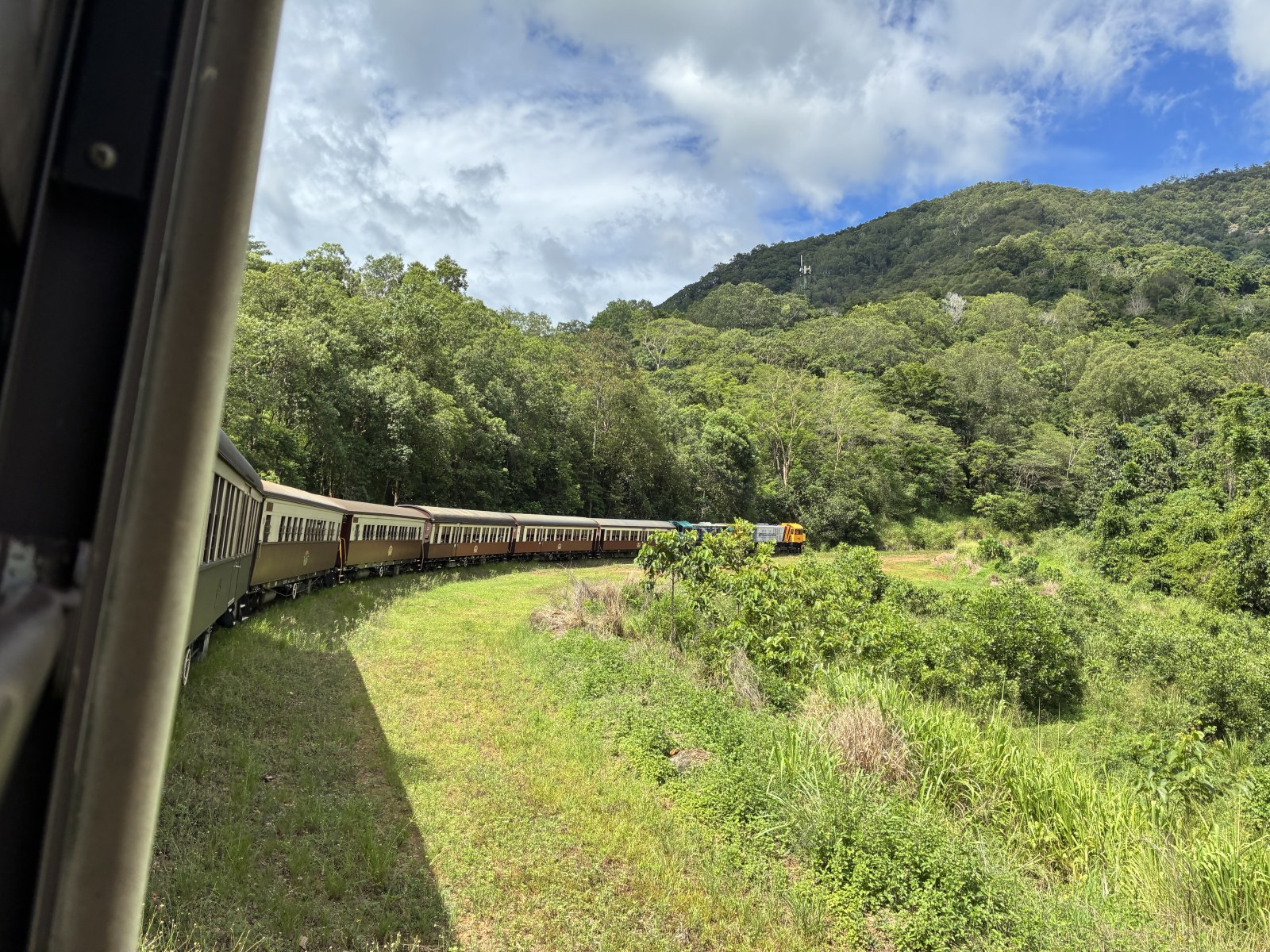 Kuranda Scenic Railway train curving through sugarcane fields near Cairns, Australia