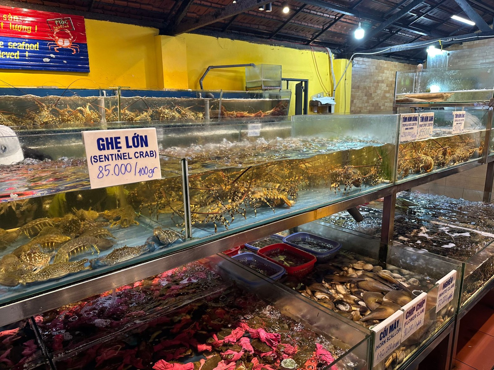 Live seafood tanks with crabs and shellfish at Moc Seafood restaurant in Da Nang, Vietnam