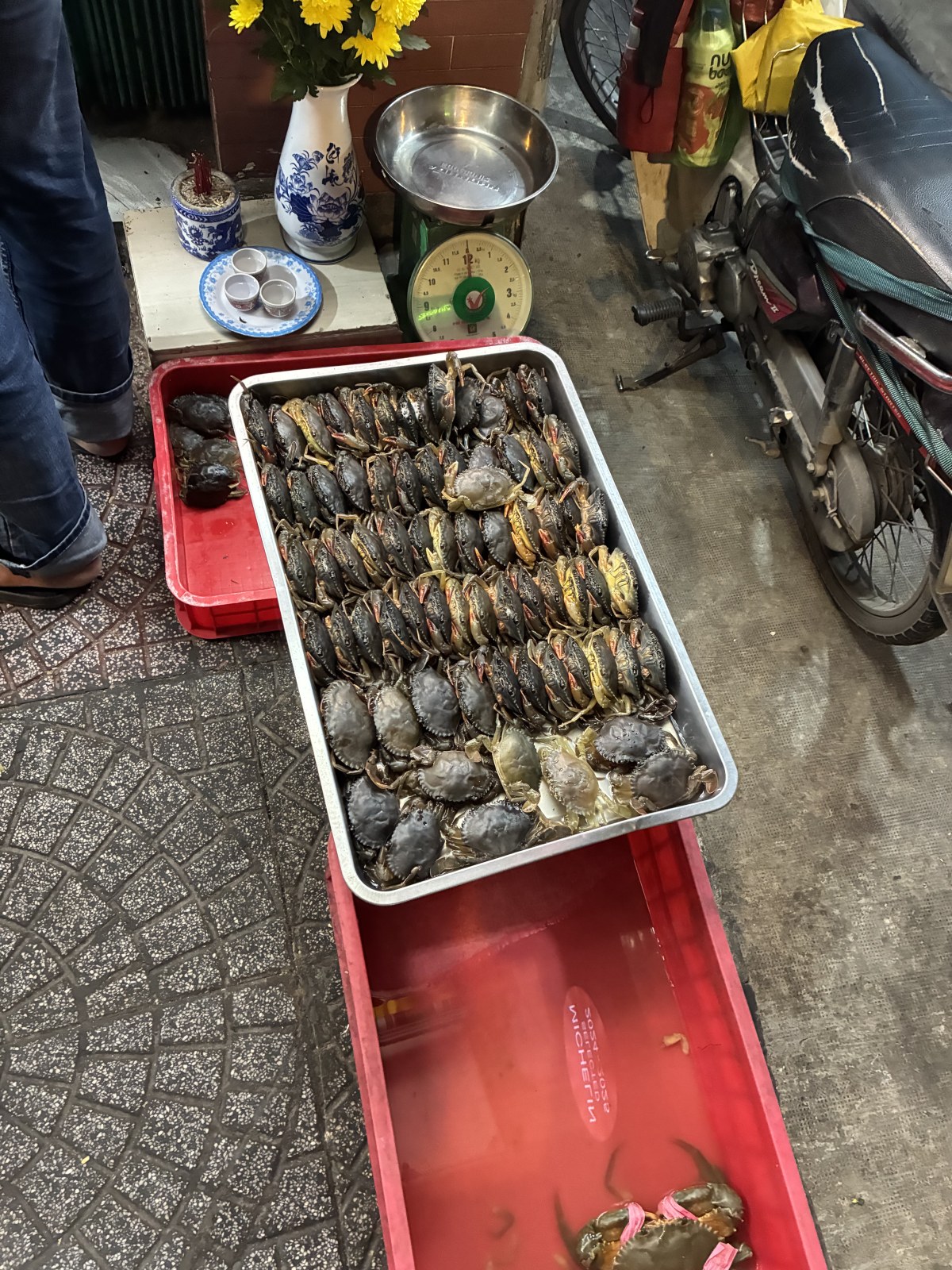 Trays of live crabs on the pavement in front of Quan 94 crab restaurant in Ho Chi Minh City, Vietnam